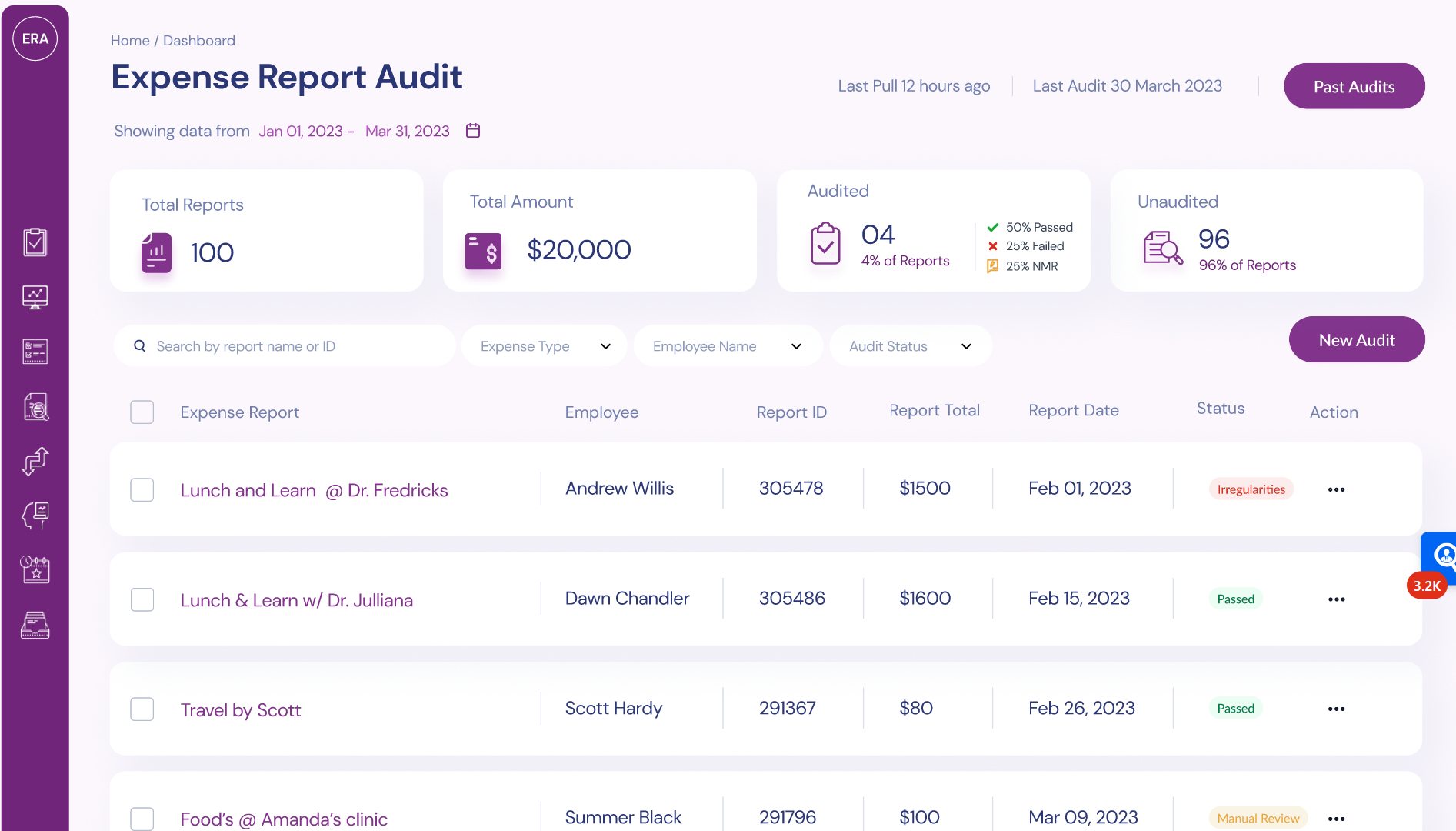 Comprehensive Expense Reporting Audits
